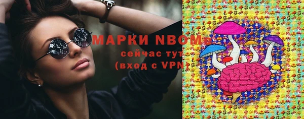 apvp Алексин