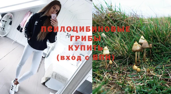 индика Алексеевка