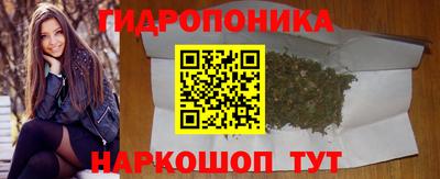 МДПВ Новокубанск