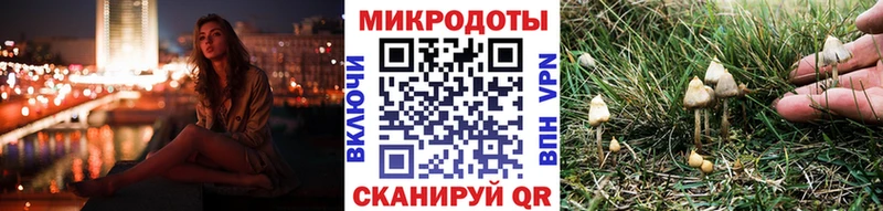 Галлюциногенные грибы ЛСД  Сухой Лог 