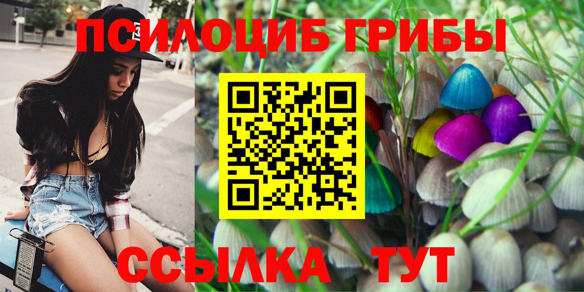Сухой Лог  Галлюциногенные грибы MAGIC MUSHROOMS  Вход с VPN  наркотики  Галлюциногенные грибы Psilocybe 