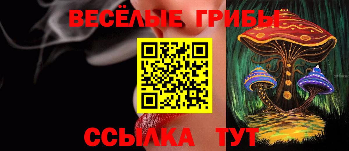 Псилоцибиновые грибы ЛСД Сухой Лог